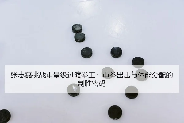 张志磊挑战重量级过渡拳王：重拳出击与体能分配的制胜密码